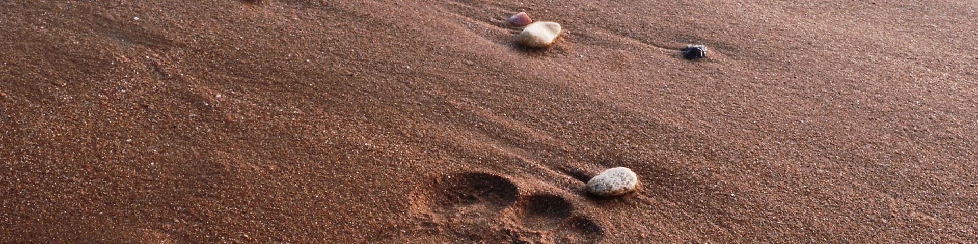 Na piasku czy na skale?
