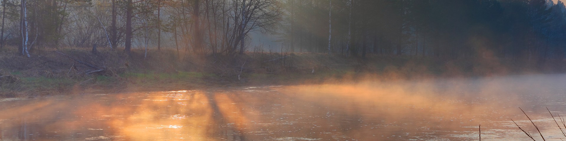 Bramą do zbawienia jest łaska Chrystusa