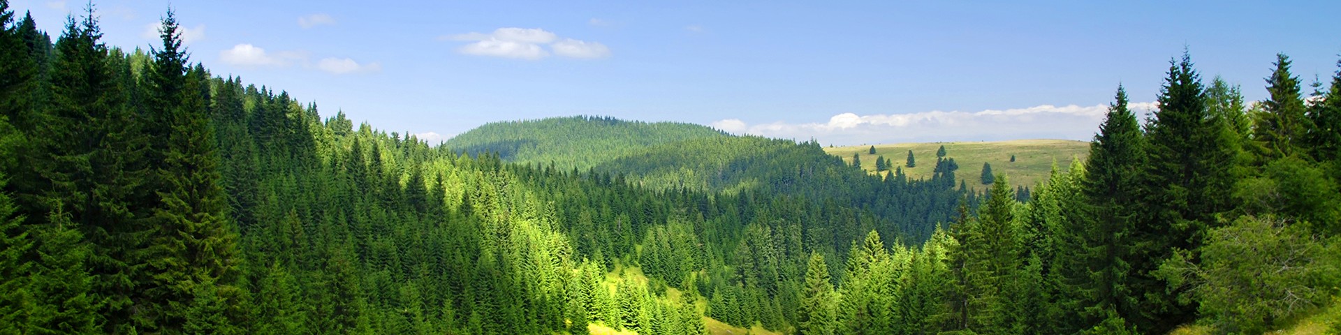 Skała