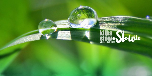 Kilka słów o słowie 2023-01-24