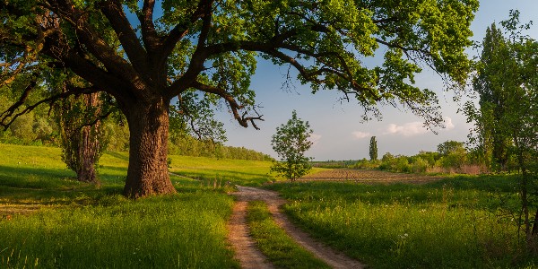 Spotykając Słowo