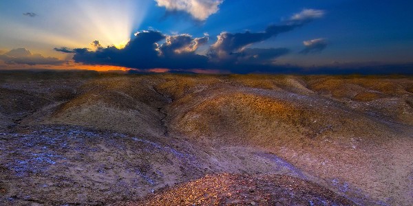 Serce szlachetne i dobre