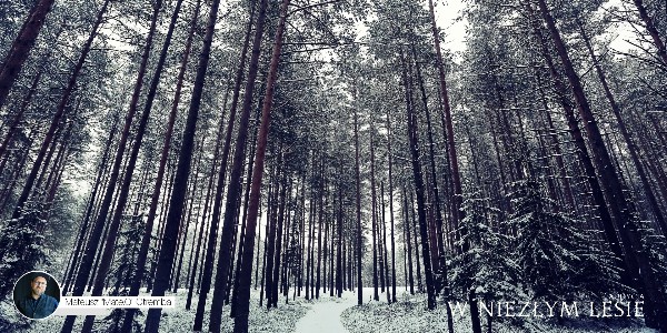 W Niezłym Lesie #2 - Józef Broda