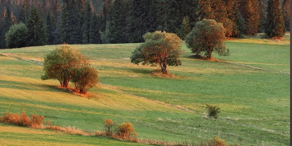 Czy Jezus jest znakiem?