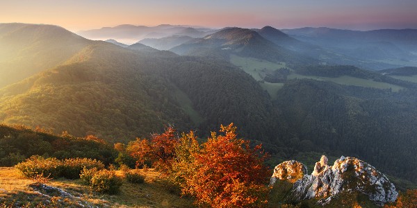Wymagająca przyjaciółka