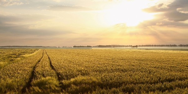 Zrobi wszystko, aby się z tobą spotkać