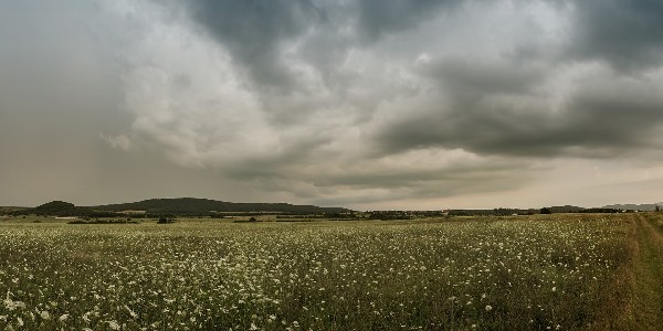 Święci starcy