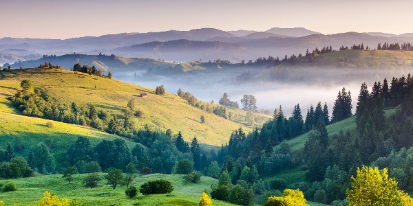 Nic Cię nie obchodzi, że ginę…?