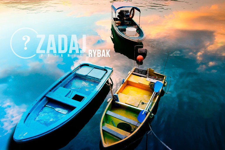 Zadaj pytanie: ks. dr Michał Dąbrówka - Rybak
