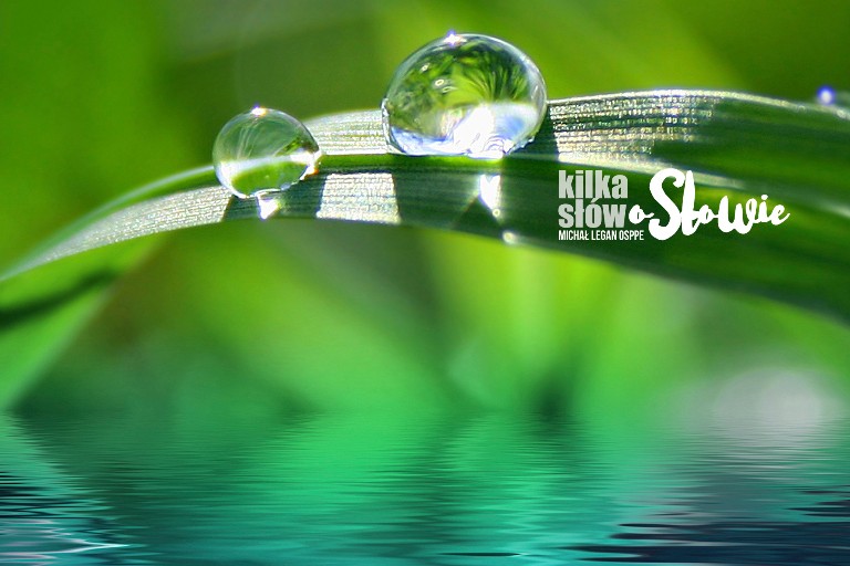 Kilka słów o słowie 2021-12-26