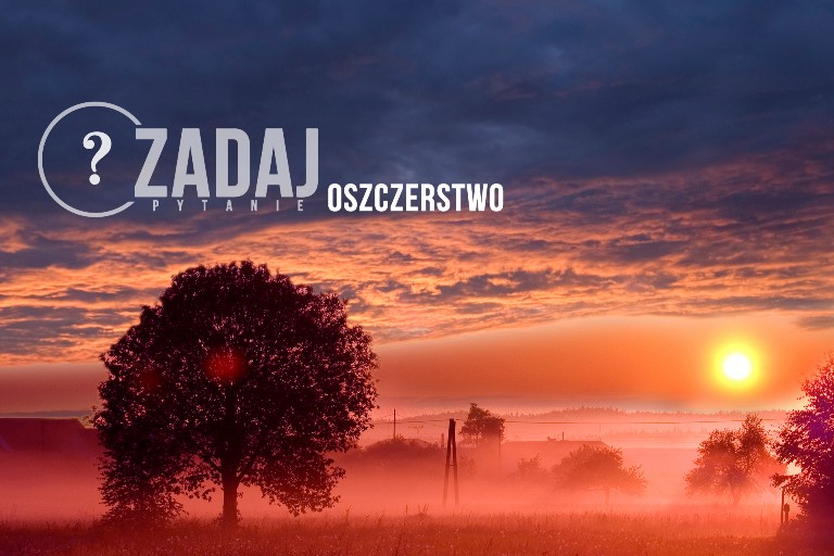 Zadaj pytanie: ks. dr Michał Dąbrówka - Oszczerstwo