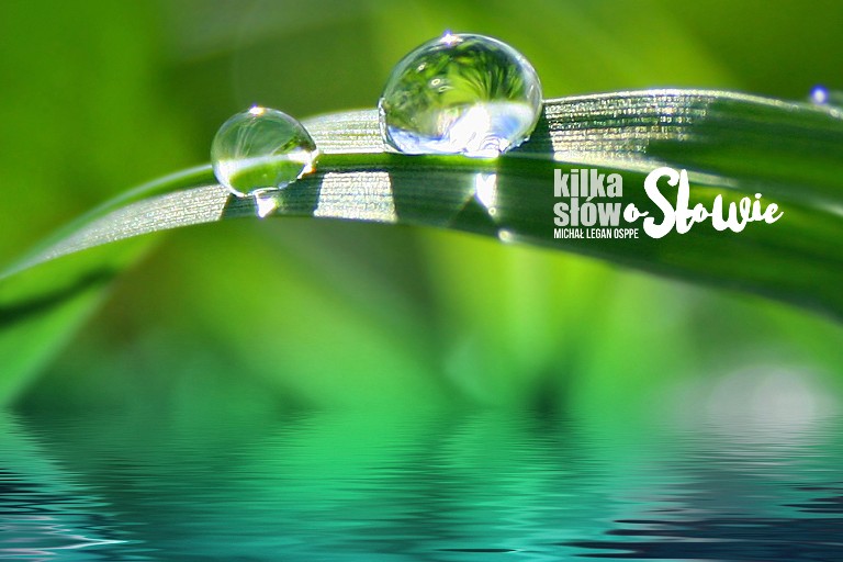 Kilka słów o słowie 2023-02-15